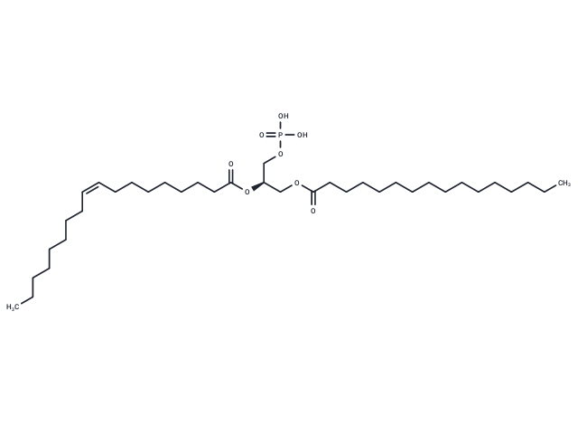 化合物 1-Palmitoyl-2-Oleoyl-sn-glycero-3-PA,1-Palmitoyl-2-Oleoyl-sn-glycero-3-PA