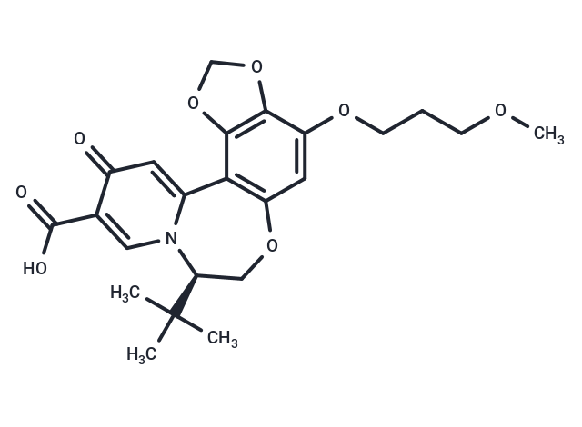 化合物 HBV-IN-12,HBV-IN-12