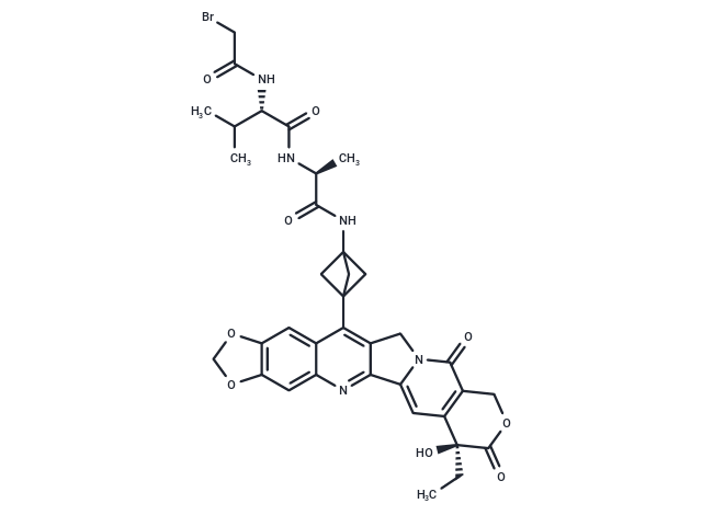 化合物 Br-Val-Ala-NH2-bicyclo[1.1.1]pentane-7-MAD-MDCPT,Br-Val-Ala-NH2-bicyclo[1.1.1]pentane-7-MAD-MDCPT