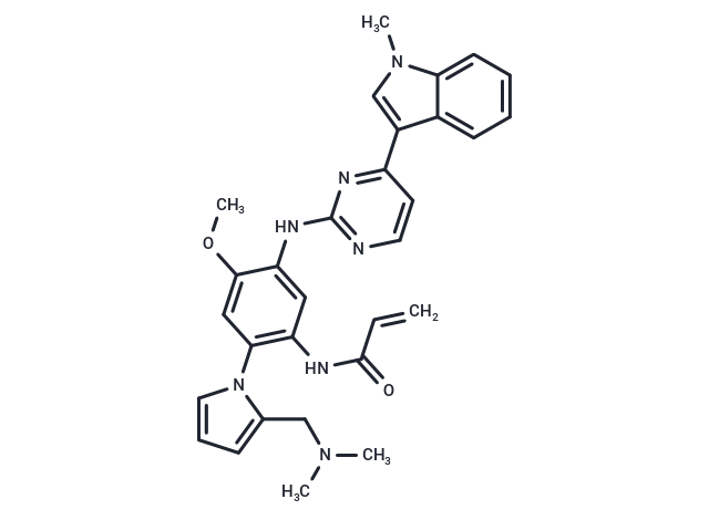 化合物 EGFR kinase inhibitor 1,EGFR kinase inhibitor 1