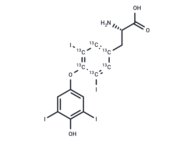 甲狀腺素（T4）-13C6  free  base,L-Thyroxine-13C6