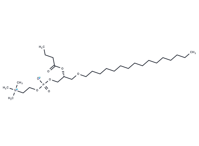 化合物 Butanoyl PAF,Butanoyl PAF