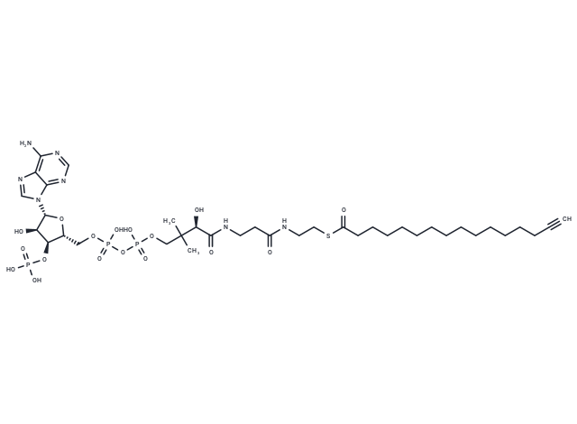 化合物 Palmitoyl Alkyne-Coenzyme A,Palmitoyl Alkyne-Coenzyme A