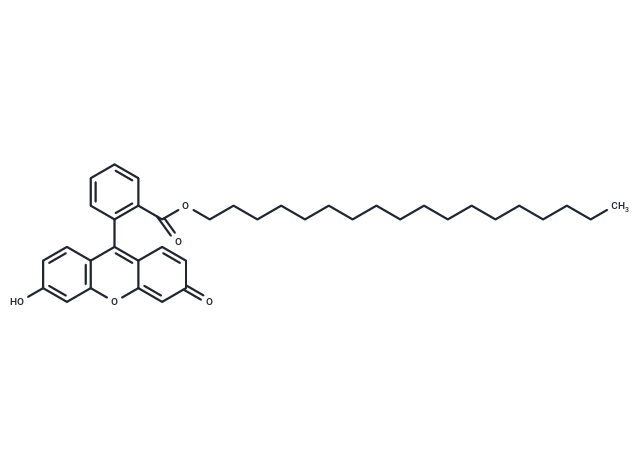 化合物 Fluorescein octadecyl ester,Fluorescein octadecyl ester