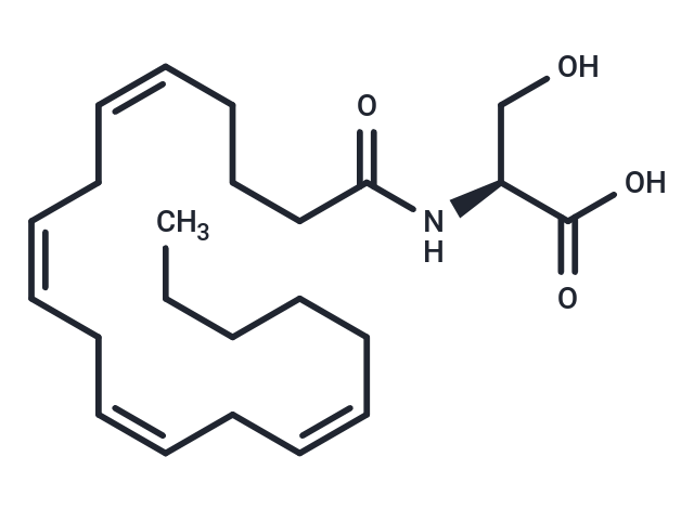 化合物 N-Arachidonoyl-L-Serine,N-Arachidonoyl-L-Serine