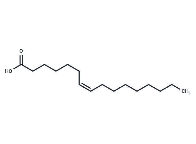 化合物 Hypogeic acid,Hypogeic acid