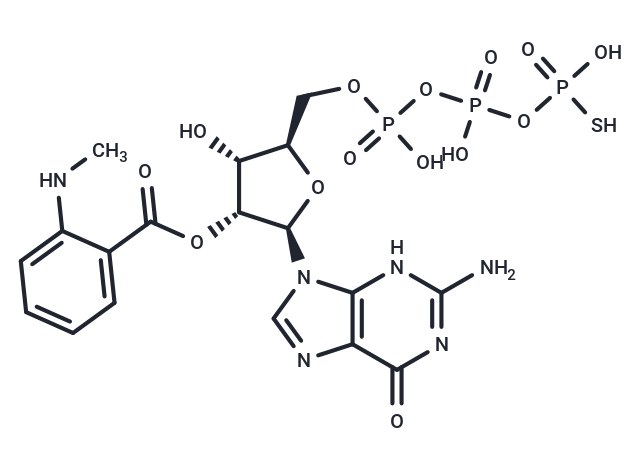 Mant-GTPγS,Mant-GTPγS