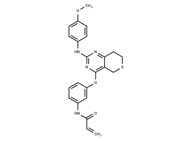 化合物 EGFR-IN-56,EGFR-IN-56