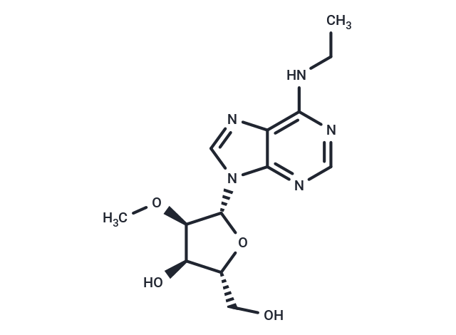 化合物 N6-Ethyl-2’-O-methyladenosine,N6-Ethyl-2’-O-methyladenosine