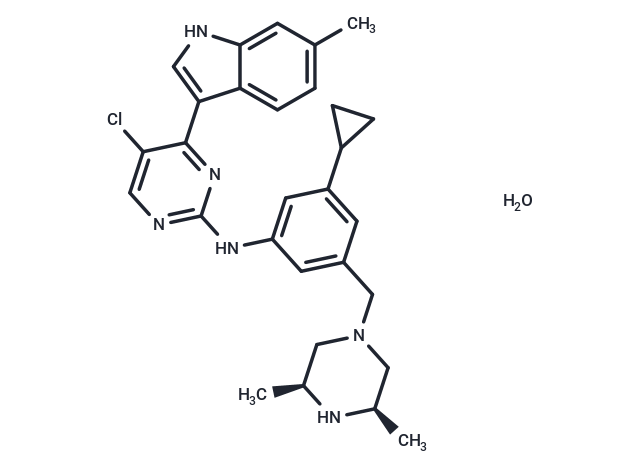 化合物 Tuspetinib hydrate,Tuspetinib hydrate