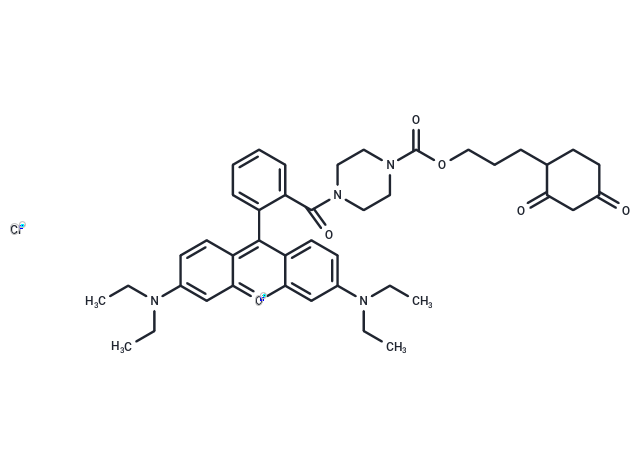 DCP-Rho1,DCP-Rho1