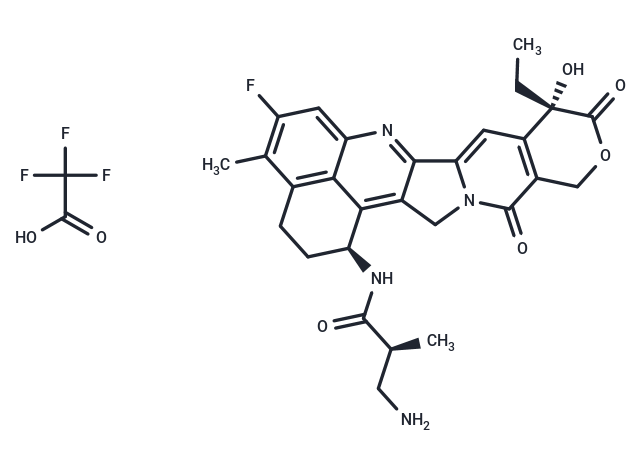 化合物 NH2-methylpropanamide-Exatecan TFA,NH2-methylpropanamide-Exatecan TFA