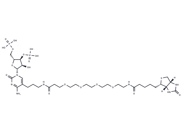 化合物 Biotin-PEG4-alkane-3',5'-cytidine-bisphosphate,Biotin-PEG4-alkane-3',5'-cytidine-bisphosphate