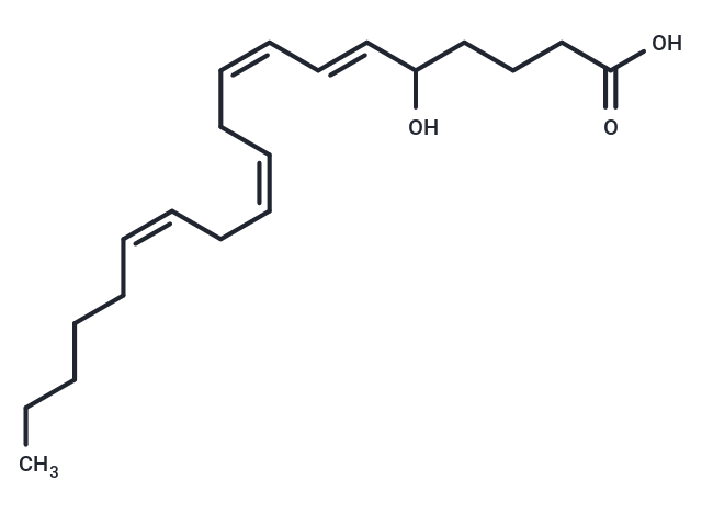 化合物 5-HETE,5-HETE