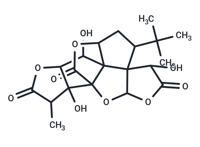 銀杏內(nèi)酯B,Ginkgolide B