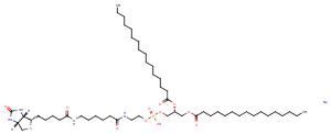 1,2-Dipalmitoyl-sn-glycero-3-PE-N-(cap biotin) (sodium salt),1,2-Dipalmitoyl-sn-glycero-3-PE-N-(cap biotin) (sodium salt)