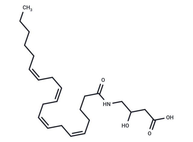 N-Arachidonoyl-3-hydroxy-γ-Aminobutyric Acid,N-Arachidonoyl-3-hydroxy-γ-Aminobutyric Acid