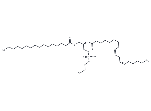 1-Palmitoyl-2-linoleoyl PE,1-Palmitoyl-2-linoleoyl PE