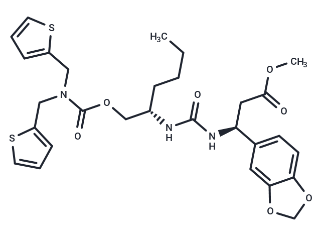 THI0019,THI0019