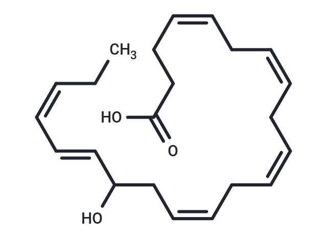 (±)16-HDHA,(±)16-HDHA