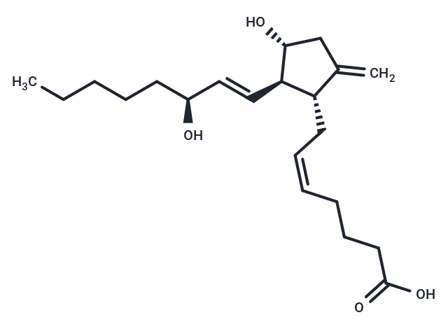 9-deoxy-9-methylene Prostaglandin E2,9-deoxy-9-methylene Prostaglandin E2