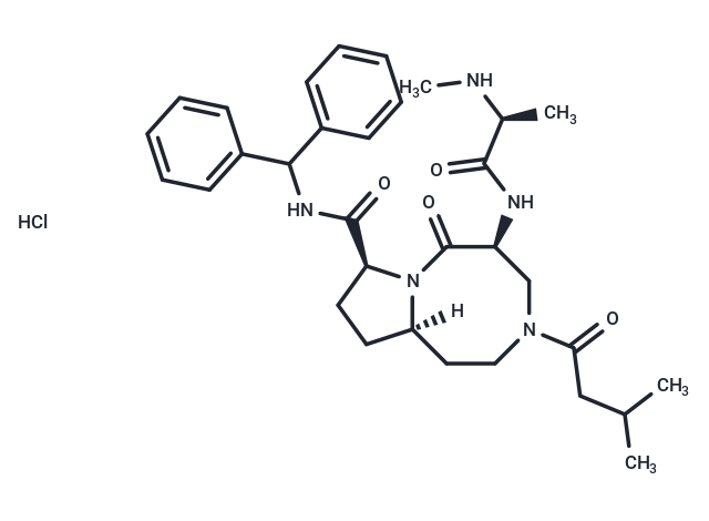 化合物 AT-406 HCl,Xevinapant hydrochloride