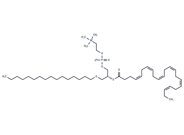 化合物 1-O-Hexadecyl-2-O-docosahexaenoyl-sn-glycero-3-phosphorylcholine,1-O-Hexadecyl-2-O-docosahexaenoyl-sn-glycero-3-phosphorylcholine