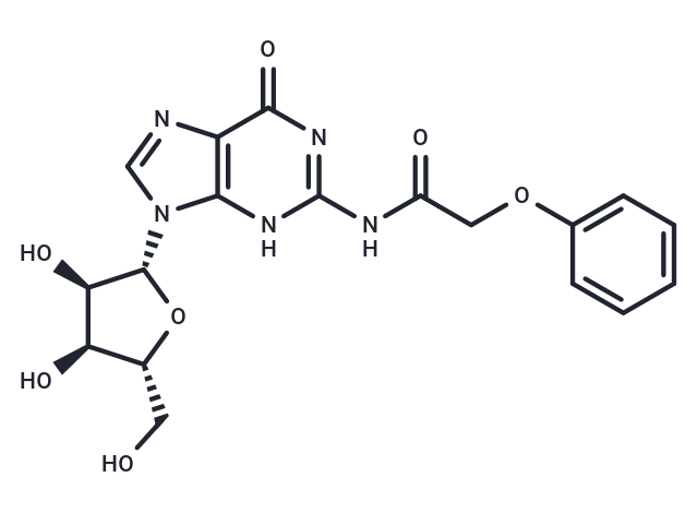 化合物 N2-Phenoxyacetylguanosine,N2-Phenoxyacetylguanosine