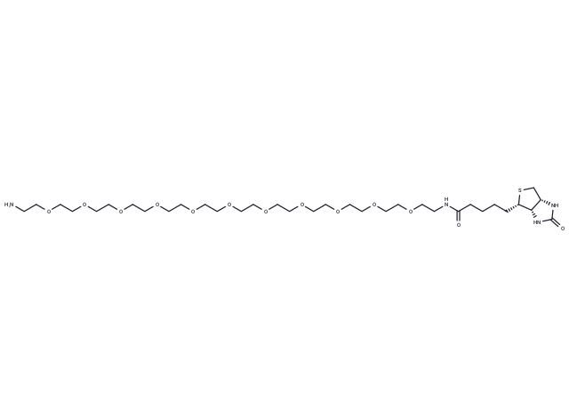 化合物 Biotin-PEG11-amine,Biotin-PEG11-amine