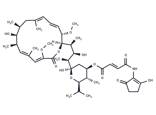 巴佛洛霉素 B1,Bafilomycin B1