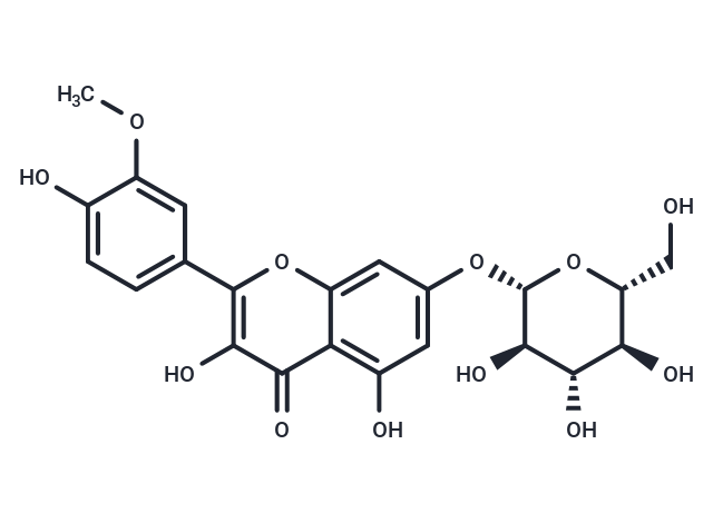 異鼠李素-7-O-Β-D-葡萄糖苷,Brassicin