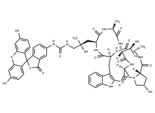 Phalloidin-FITC,Phalloidin-FITC