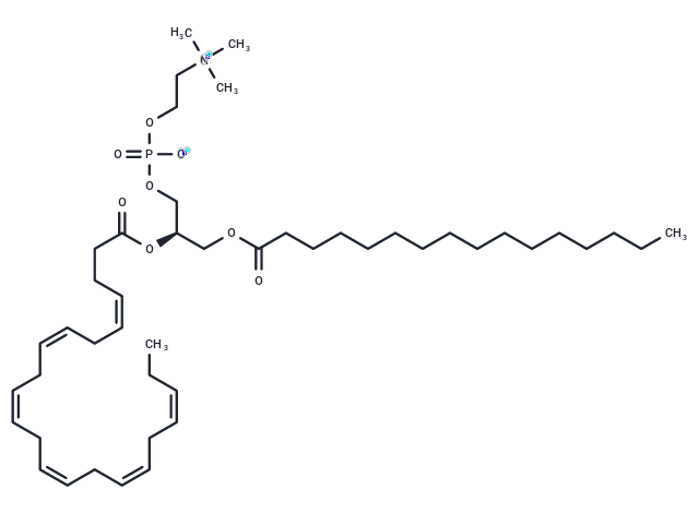 化合物 Palmitoyldocosahexaenoyl phosphatidylcholine,Palmitoyldocosahexaenoyl phosphatidylcholine