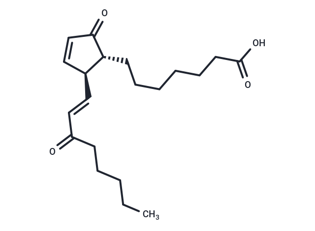 15-keto Prostaglandin A1,15-keto Prostaglandin A1