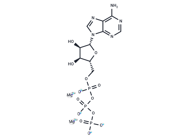 三磷酸腺苷二鎂,ATP dimagnesium