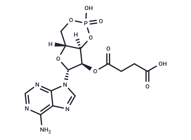 2'-O-Monosuccinyladenosine-3',5'-cyclic monophosphate,2'-O-Succinyl-cAMP