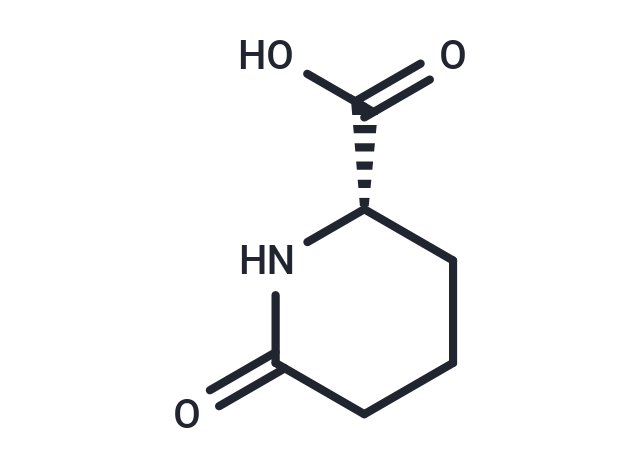 L-Pyrohomoglutamic Acid,L-Pyrohomoglutamic Acid