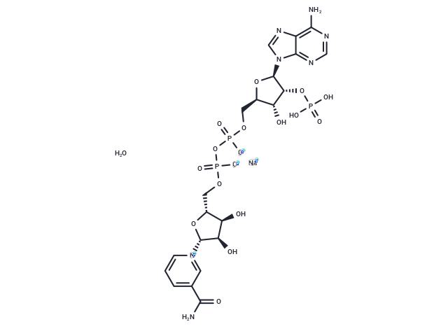 NADP+ (sodium salt hydrate),NADP+ (sodium salt hydrate)