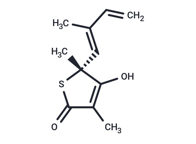 化合物 Thiolactomycin,Thiolactomycin