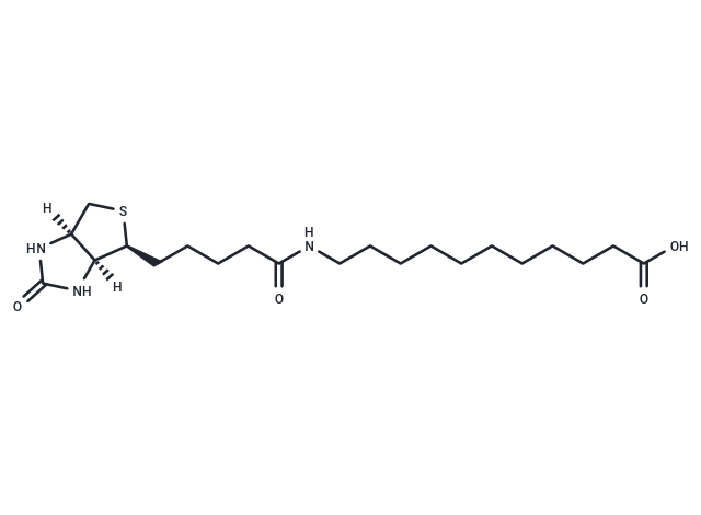 化合物 (+)-Biotin-SLC,(+)-Biotin-SLC