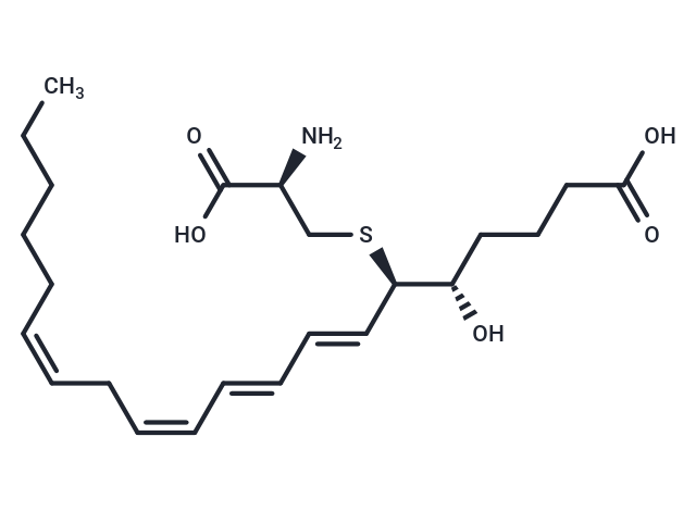 白三烯 E4,Leukotriene E4