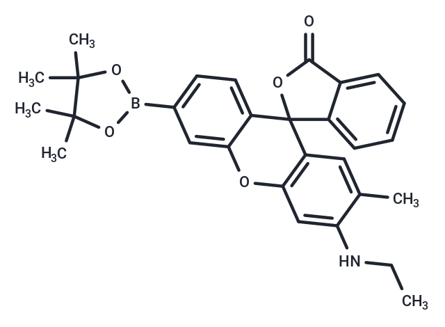 化合物 NucPE1,NucPE1