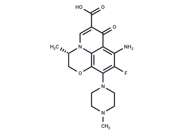 Antofloxacin,Antofloxacin