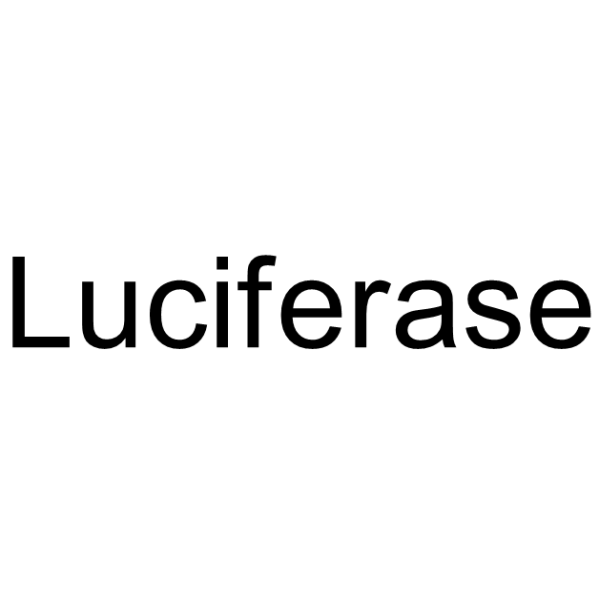 熒光素酶,Luciferase