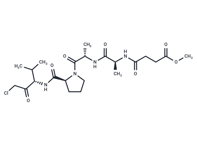 化合物 MeOSuc-AAPV-CMK,MeOSuc-AAPV-CMK