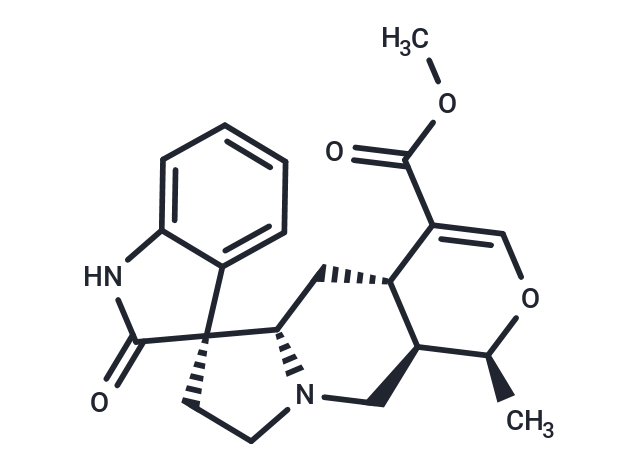 異帽柱木非靈,Isomitraphylline