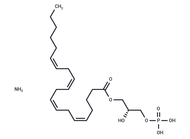 1-Arachidonoyl Lysophosphatidic Acid (ammonium salt),1-Arachidonoyl Lysophosphatidic Acid (ammonium salt)