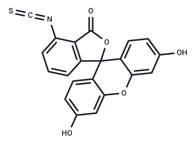 化合物 Fluorescein-6-isothiocyanate,Fluorescein-6-isothiocyanate