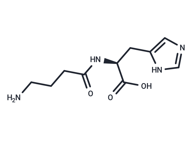 高肌肽,Homocarnosine