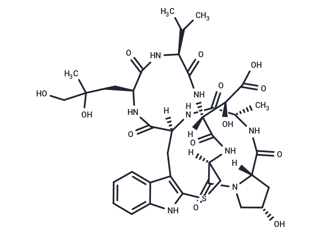 羧基二羥鬼筆毒肽,Phallacidin